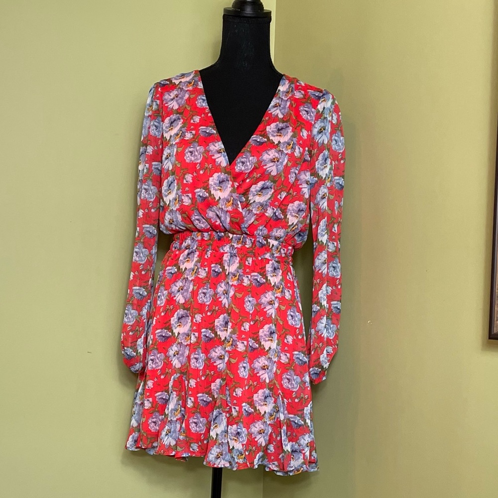 Francesca’s mi ami  Floral Ruffle Hemline Mini Dress